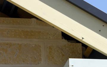 soffit repair Cotes Park